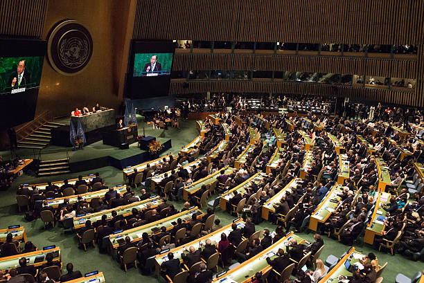 Africa and the Global Climate Debate — Victims or Voices?