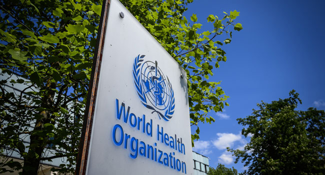 Chikungunya on the Rise Again: WHO Warns World to Act Fast Before It’s Too Late