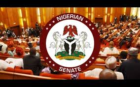 To Honor Baba”: Senate Plans Special Tribute to Late President Buhari