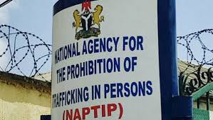 “Trafficking is Killing Our Future” — NAPTIP Warns as Nigeria Marks World Day Against Human Trafficking