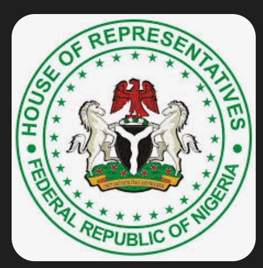 “₦3 Million to Present a Bill”: Nigerian Lawmaker Exposes Deep Corruption in National Assembly