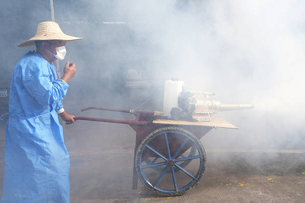 China Confirms Major Outbreak Of Chikungunya In Guangdong Province, Moves To Curb Spread