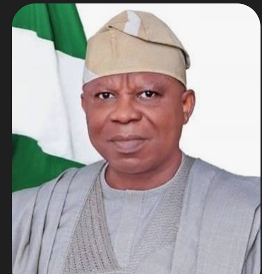 Clerk to National Assembly Declares No Authority to Overturn Natasha’s Suspension Amid Legal Battle